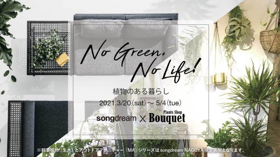 Nogreen Nolife おしゃれで人気の植物植物が名古屋で限定販売 Songdream Blog