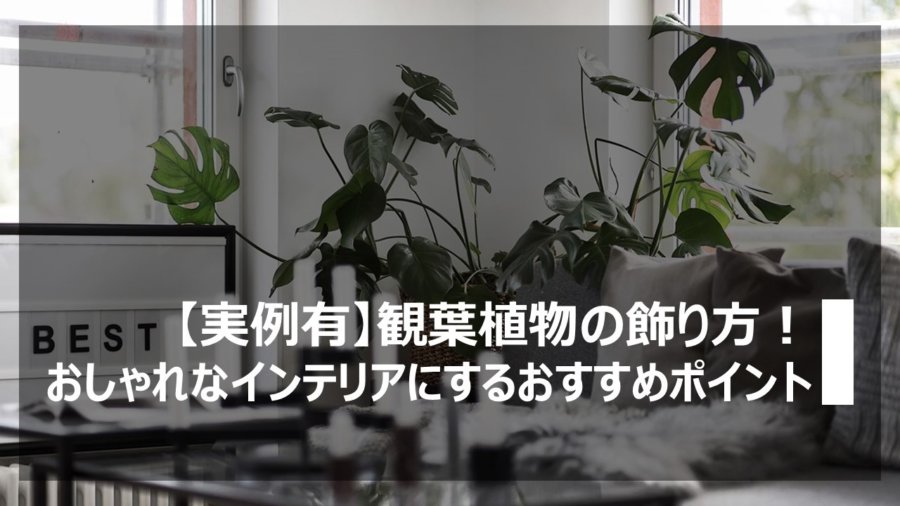 実例有 観葉植物の飾り方 おしゃれなインテリアにするおすすめポイント 横浜 名古屋 神戸のモダン家具 Songdream Onlinestore ソングドリーム