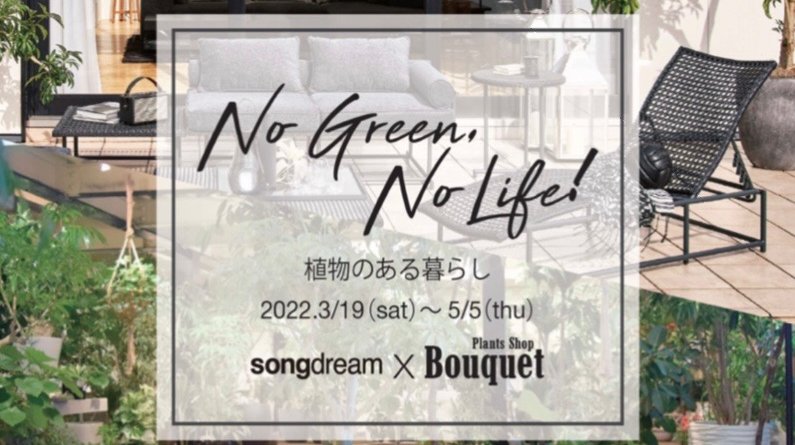 ”NO GREEN,NO LIFE”観葉植物が期間限定販売！10％OFF！